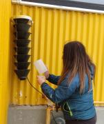 SAG Magallanes refuerza vigilancia forestal con más de 70 trampas para detectar plagas en Punta Arenas