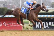 Al galope: Zany gana el Demoiselle Stakes (G2) y asegura los 10 puntos para el Kentucky Oaks