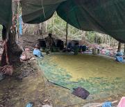 Destruyen tres fábricas de droga en el Chapare cochabambino