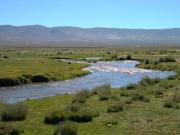 Instituciones exigen a Cosaalt usar el Fondo de Agua para proteger Sama