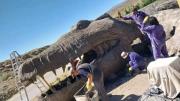 Neuquén, tierra de “Godzilla”: la réplica del Cocodrilo Marino más grande del mundo