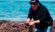 Una cocinera de Chubut usa algas en sus platos: ofrece comidas ricas en nutrientes y combate una especie invasora