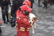 Rescatan con vida a “Doggy”, la mascota herida en el incendio que devastó una galería en la calle Sagárnaga