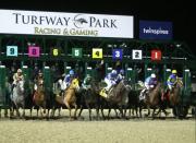 Cuatro stakes en el meeting de Turfway Park el sábado