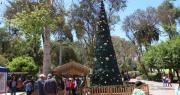 ¿Cuándo y a qué hora es el encendido del Árbol de Navidad en Copiapó?