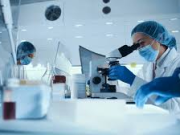 Desarrollan una nueva terapia para la leucemia linfoblástica aguda de células T