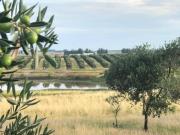 Casupá: ocho consorcios presentaron propuestas para precalificación de la represa