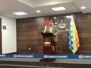 Convocatoria del vicepresidente requiere aprobación de ambas cámaras, advierte presidente del Senado