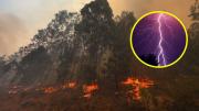 Curarrehue bajo Alerta Roja por incendio forestal originado por dos rayos