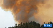 Declaran alerta roja para la comuna de Curarrehue por incendio forestal