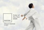 Color Pantone 2026: Pintando polémicas… ¿de blanco?