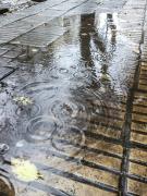 Clima en La Plata hoy, martes 9 de diciembre: nubes, humedad y lluvias aisladas