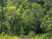Menos que medio ambiente