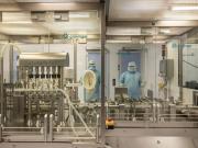 Por primera vez empiezan a ensayar una vacuna de ARN mensajero en Argentina para combatir la gripe aviar