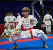 Carabobo, Guárico, Anzoátegui y Miranda destacaron en karate do