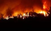 Se prohíbe el uso de fuego para evitar incendios forestales en diversos Parques Nacionales