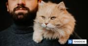 Lo dice la ciencia: ¿por qué los gatos le maúllan más a los hombres que a las mujeres?