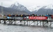 Apuntan contra Melella por un proyecto que busca instalar salmoneras en Tierra del Fuego: Traicionar
