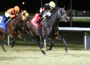 José Francisco D’Angelo por otro Stakes el fin de semana con Howard Wolowitz