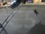 Video: un paracaidista terminó colgado de un semáforo