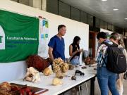 En Cenur Litoral Norte /Se realizó la Exposición de Anatomía