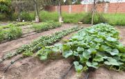 Cenvicruz: inauguran huerto agroecológico