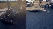 VIDEO VIRAL: El caimán de más de 200 kilos que aterrorizó Florida por segunda semana consecutiva