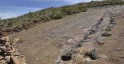 ¡Histórico! Descubren en Bolivia el yacimiento de huellas y rastros de cola de dinosaurios más grande del mundo
