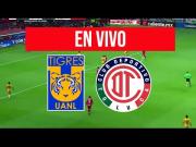 Link hoy: Tigres vs. Toluca EN VIVO vía TV Azteca 7, TUDN y ViX en directo
