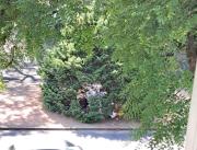 Indigentes que acampaban en bulevar Artigas fueron retirados; regresaron al día siguiente