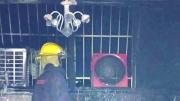 Hombre y su perro mueren en incendio de apartamento en Anzoátegui