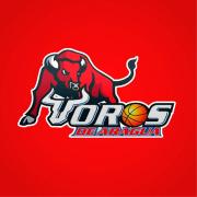 Toros de Aragua pide año sabático y se reincorporará en el 2027