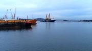 Se rompió una draga en el puerto; de las tres ninguna funciona: “Hay que ver si podemos contratar del sector privado”, dijo Gandini