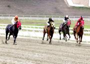 La Rinconada: Datos de Última Hora para el 14-12-2025