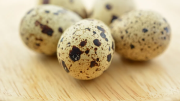 Conocé los increíbles beneficios del huevo de codorniz, gran fuente de hierro