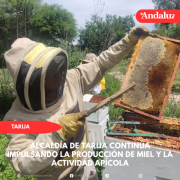 Alcaldía de Tarija continúa impulsando la producción de miel y la actividad apícola