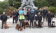 Guías y perros se reúnen en Punta Arenas para participar en certificación internacional en rescate