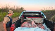 La Lagunilla: fueron sorprendidos con un animal vacuno faenado en la caja de la camioneta