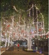 Miles de familias disfrutaron del tradicional paseo navideño
