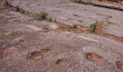 En Toro Toro, reserva natural de Bolivia, hallan el mayor conjunto de huellas de dinosaurios del mundo
