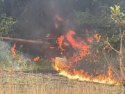 FANB destruyó dos aeronaves y un campamento de narcotraficantes