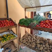 Granos y vegetales son la alternativa que sostiene la mesa sanmateana