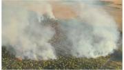 Incendio en Canelones afectó a 30 hectáreas: el fuego inició en la tarde del sábado y ahora está controlado