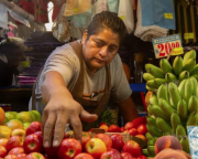 Moderada recuperación del empleo en América Latina