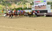 Conoce el estado de salud de los jockeys que rodaron en el Clásico Comparación GI