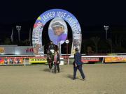 Special Element se reivindicó con autoridad en el I Clásico Júnior Alvarado