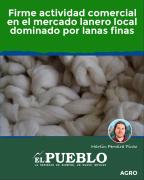 Firme actividad comercial en el mercado lanero local dominado por lanas finas ‣ Martin Ferreira Pinto
