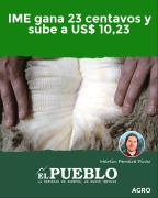 IME gana 23 centavos y sube a US$ 10,23 ‣ Martin Ferreira Pinto