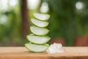 Dile adiós a las arrugas con esta mascarilla a base de aloe vera: aprende a prepararla fácil y rápido