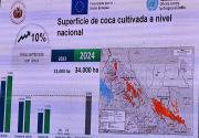 La UNODC registra un incremento del 10% en el cultivo de la hoja de coca